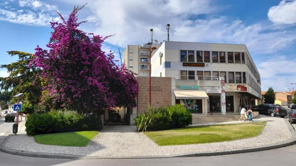 Altamira Gb Apartman Estarreja Kültér fotó